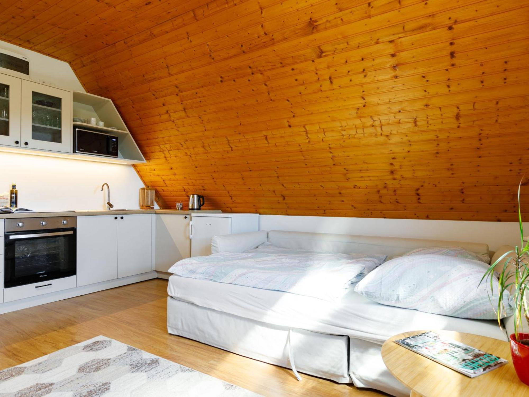 Emi - Bac110 By Interhome *